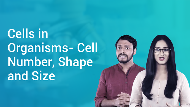 Cells In Organisms Cell Number Shape And Size In English Biology