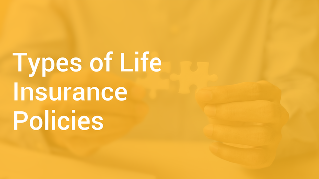 types-of-life-insurance-policies-in-hindi-business-studies-video-lectures