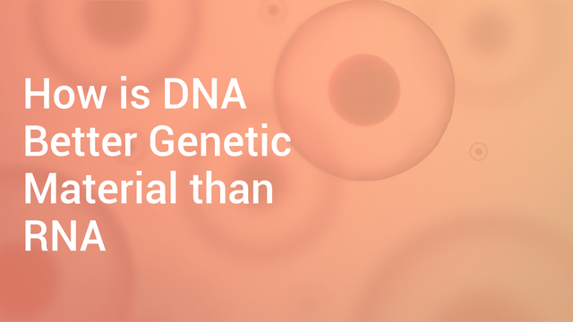 how-is-dna-better-genetic-material-than-rna-in-hindi-biology-video