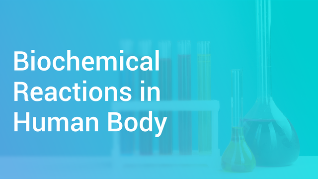 Biochemical Reactions In Human Body In English | Chemistry Video Lectures