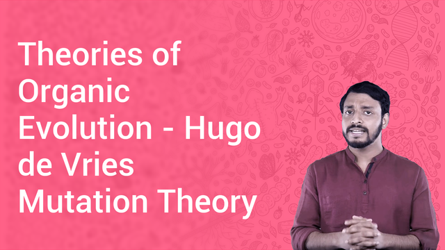 Theories of Organic Evolution - Hugo de Vries Mutation Theory in ...