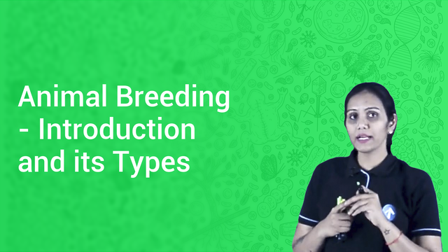 animal-breeding-introduction-and-its-types-in-hindi-biology-video